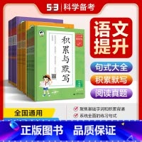 阅读真题精选60篇 下册 小学二年级 [正版]53小学基础练积累与默写上下册 2025新版小学语文句式训练大全一二三年级