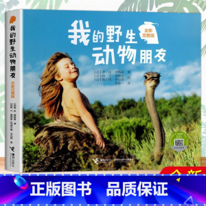 我的野生动物朋友df [正版]任选二年级课外阅读书目 了不起的狐狸爸爸没头脑和不高兴我有友情要出租花瓣儿鱼妹妹的红雨鞋老