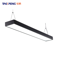 韬鹏 吊顶灯 48w 个