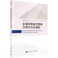 音像全尾砂胶结充填体力学行为与调控徐文彬