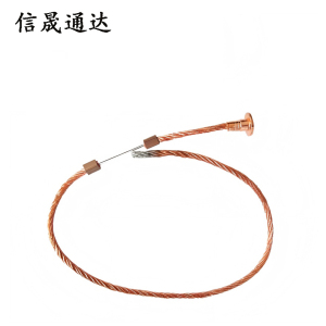 信晟通达 熔丝 RW-10/5A 根