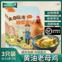 [苏鲜生推荐]雀淘 正宗皖南黄油老母鸡2-2.3斤/只 3只装 新鲜现杀整鸡净膛冷冻竹林慢养走地鸡