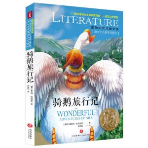 [N]骑鹅旅行记/国际大奖儿童文学-9787545573879