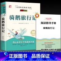 骑鹅旅行记(带考试重点) [正版]全套4册 六年级下册必读的课外书 快乐读书啊吧6下人教版鲁滨逊漂流记 汤姆索亚历险记爱