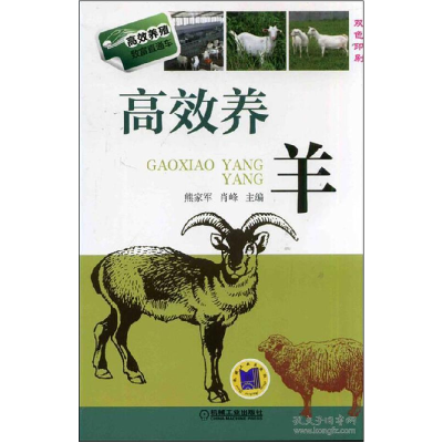 正版新书]高效养羊熊家军//肖峰9787111454670
