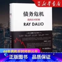 [正版]债务危机 我的应对原则 瑞达利欧 桥水创始人 原则作者 金融投资理财 出版社