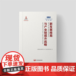 新发展格局与产业链提升战略