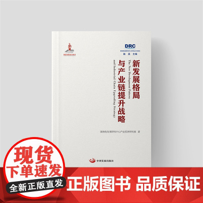 新发展格局与产业链提升战略