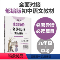 语文 [正版]周计划 初中语文名著阅读高效训练 九年级中考艾青诗选水浒传儒林外史简爱初三9年级 课外世界名著阅读练习中考