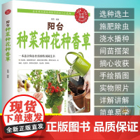 正版 阳台种菜种花种香草 彩图详解种植栽培养护知识 一本适合陶冶性情的特别园艺书