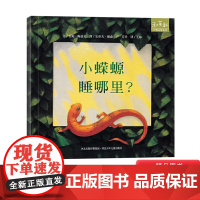 小蝾螈睡哪里硬壳精装绘本图画书和英正版童书