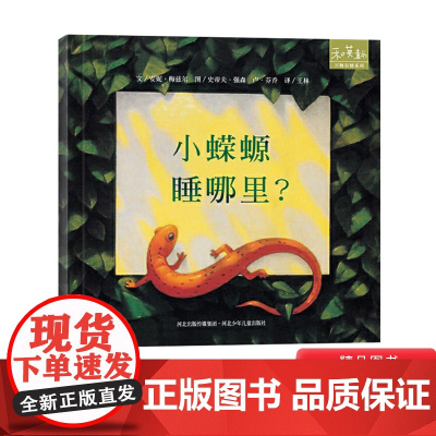 小蝾螈睡哪里硬壳精装绘本图画书和英正版童书