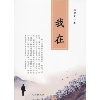 我在9787545156027辽海出版社杜建文