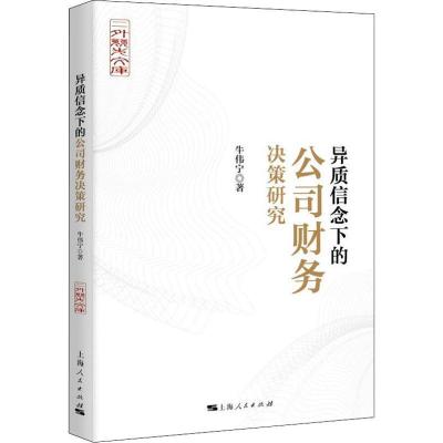 正版新书]异质信念下的公司财务决策研究牛伟宁9787208154520