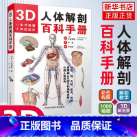 [正版]新书 3D人体解剖百科手册 人体解剖学彩色学图谱 物图谱解剖学医疗医学图谱入门书 西医解剖学外科医生学生用书