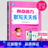 语文默写天天练六年级上 小学六年级 [正版]2025春新版亮点给力计算天天练六年级上下册数学苏教版SJ江苏小学6年级上学