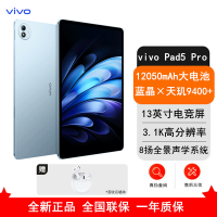[全新]vivo Pad 5 Pro 12GB+512GB 春潮蓝 天玑9400 13英寸 3.1K 护眼屏 娱乐 工作轻办公 学习平板电脑