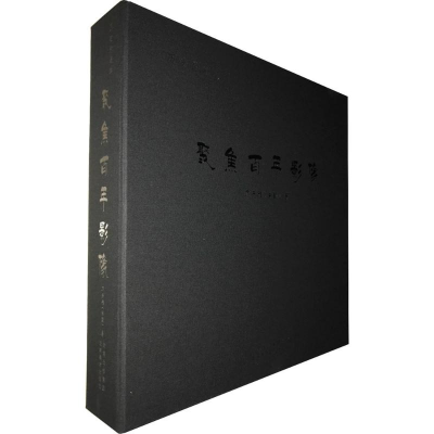 醉染图书历史的凝眸9787548928935