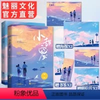 [正版](随机1册签名书)小甜蜜上下全2册套装赠海报明信片书签已完结 无影有踪花火青春现代甜宠言情小说校服到婚纱甜