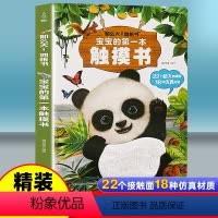 [超大地板书]宝宝的第一本触摸书 [正版]宝宝的第一本触摸书 婴幼儿启蒙早教书绘本点读发声书 那么大地板书 好玩的会发声