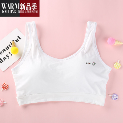 少女文胸发育期高中学生胖mm加肥加大码初中生内衣小背心女韩版SHANCHAO胸罩
