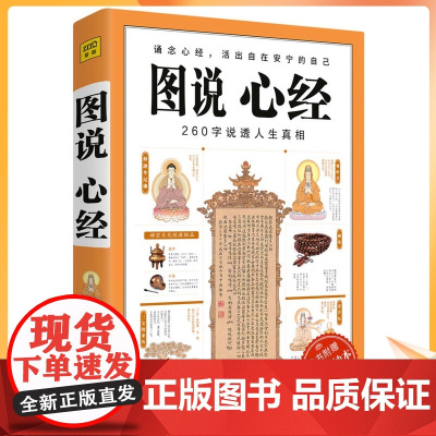 正版 图说心经 说透人生真相 般若波罗蜜多心经大般若经佛法入门书籍图解经典系列佛教金刚经楞严经紫图