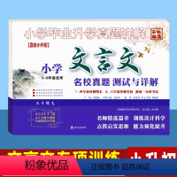 小学文言文(3-6年级) 小学升初中 [正版]小升初文言文专项训练测试卷真题名校分班卷 语文阅读理解试卷人教版 小学毕业