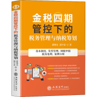 音像金税四期管控下的税务管理与纳税筹划翟继光,郭宇泰