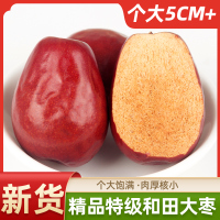 [丝路绿洲]新货特级新疆和田大枣一级特大红枣特产骏枣子干果零食500g