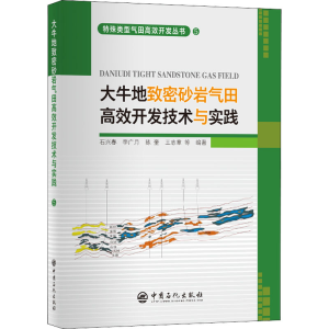 正版新书]大牛地致密砂岩气田高效开发技术与实践石兴春 李广月