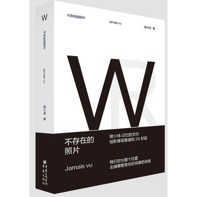不存在的照片 樊小纯 记忆的交付 给影像观看者的24封信 纪录片视觉讲述 现当代纪实文学散文随笔书