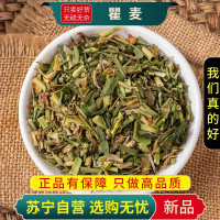 甄选瞿麦100克正品干货麦巨麦新货石竹子花巨麦曲麦翟麦另售车前子