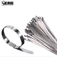 圣承启 自锁式扎带 16*250mm根