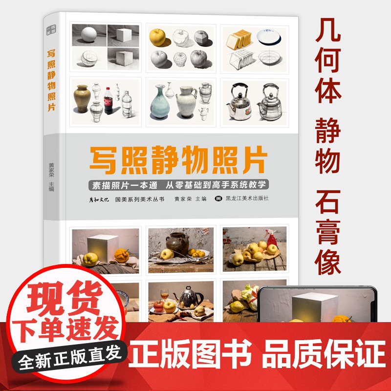 写照素描静物照片书临摹素材写生图片美术实物教材对画构图单体组合几何体石膏五官头像陶罐蔬果艺考高联考美院范画图库高清图册