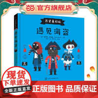 遇见海盗