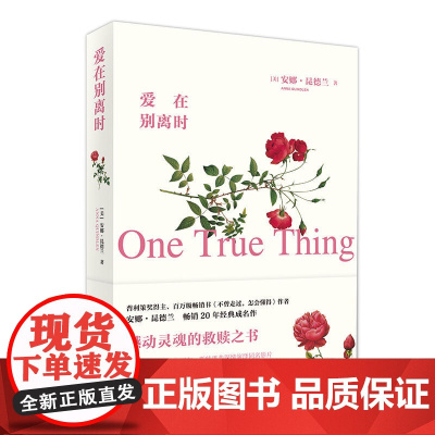 爱在别离时 安娜·昆德兰 重庆出版社 正版书籍