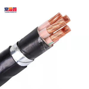 常顺鑫 低压铜芯电缆ZC-YJV22 0.6/1KV 5×6 米