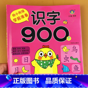 识字900 [正版]幼小衔接入学准备成语接龙书900个成语带解释幼儿版中华成语故事大字版3-6岁启蒙认知儿童成语积累绘本