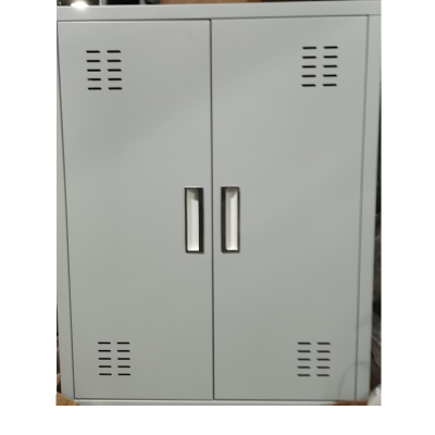 东松 订双门钢制鞋柜 600*300*800 个