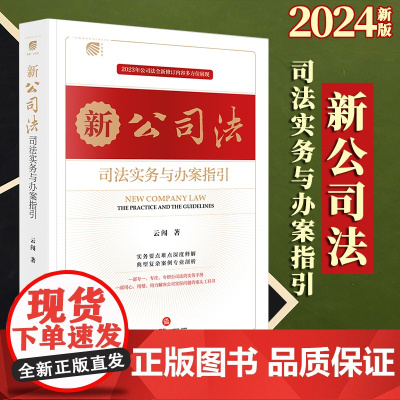 2024新版 新公司法司法实务与办案指引 云闯著 法律出版社