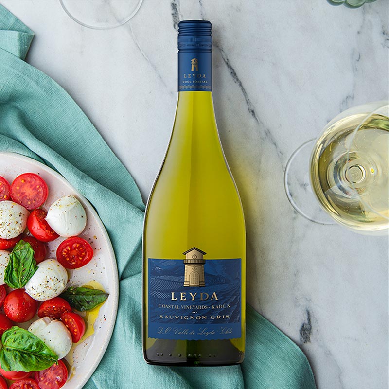 蕾妲酒庄红酒智利原瓶进口单一园卡盾园灰苏维翁干白葡萄酒单支装