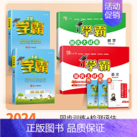 [学霸作业本+大试卷4本]⭐语文+数学(苏教版) 二年级上 [正版]2024秋五星小学学霸一二年级三四五六年级上册下册语