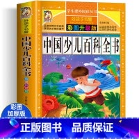 中国幼儿百科全书 [正版]四大名着小学生版注音版全套4册 西游记三国演义水浒传红楼梦原着儿童版带拼音青少年版小学生课外阅