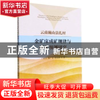 正版 云南巍山县扎村金矿床成矿规律与成矿预测研究 丁星妤,杨广
