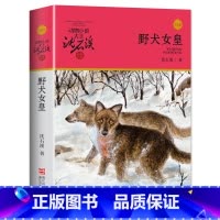 野犬女皇 [正版]完整版野犬女皇全本沈石溪的图书籍动物小说大王品藏系列小学生四五六年级儿童文学作品珍藏全集1全套单本一新