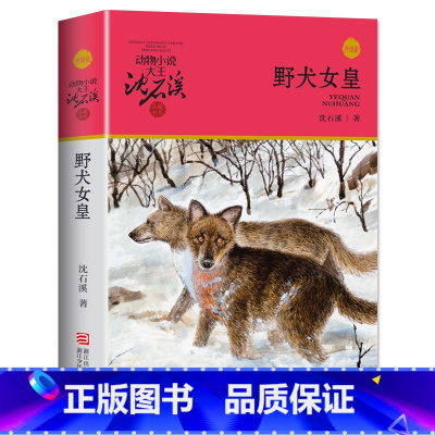 野犬女皇 [正版]完整版野犬女皇全本沈石溪的图书籍动物小说大王品藏系列小学生四五六年级儿童文学作品珍藏全集1全套单本一新