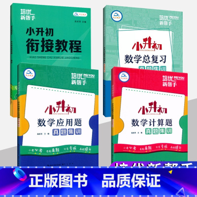 小升初[计算题+应用题+衔接教程+总复习]全4册 小学升初中 [正版]小升初数学计算真题集训组合计算应用总复习小升初衔接