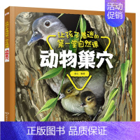[正版]动物巢穴 让孩子着迷的第堂自然课 探知自然事物的科普图书了解动 物们生活的秘密 亲子阅读绘本 科普百科 书店