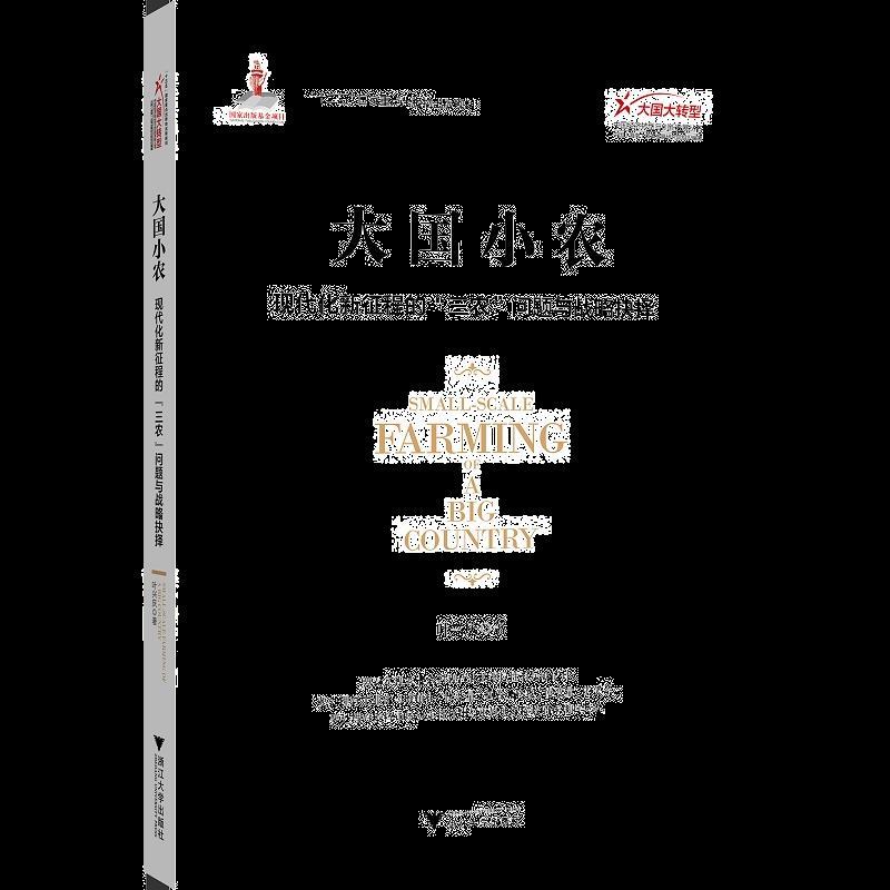 正版新书]大国小农:现代化新征程的“三农”问题与战略抉择叶兴