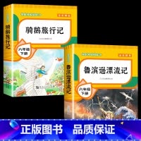 鲁滨逊漂流记+骑鹅旅行记 [正版]全套4册 鲁滨逊漂流记六年级下册的课外书阅读原著完整版汤姆索亚历险记爱丽丝漫游奇境尼尔